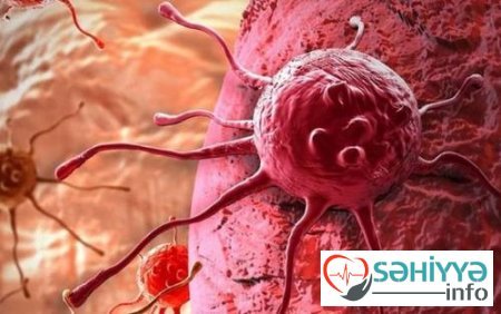 Şəkər xərçəngin “gizlənməsinə” kömək edir?