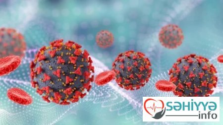 Dəhşətli virus AŞKARLANDI - Dərmanı və peyvəndi YOXDUR